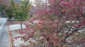 20150925001長野県の秋の楽しみ