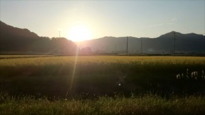 20151005_001長野県の田舎暮らしで自然満喫