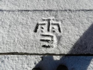 長野田舎の雪遊び