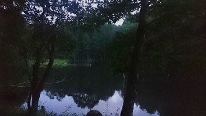 美しの池