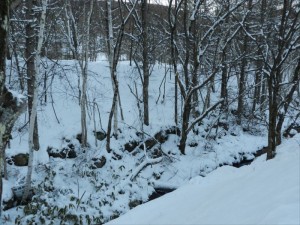 蓼科エリア別荘地の冬＋雪１