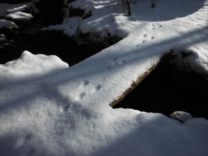 信州別荘地で楽しむ冬