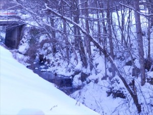 蓼科エリア別荘地の冬雪景色３