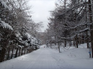 美し松別荘地道路雪