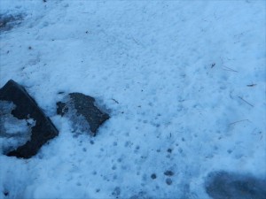 蓼科エリア別荘地雪の状況４