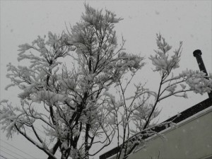 蓼科エリア別荘地春の雪３