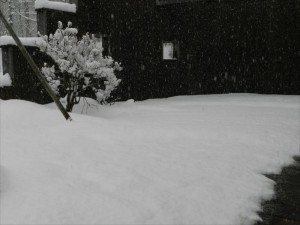 蓼科エリア別荘地の天気春の雪１