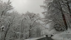 長野県大門峠雪景色見納め