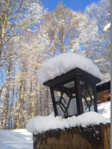 別荘地の雪