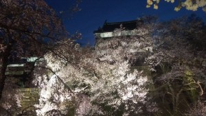 上田城桜2017