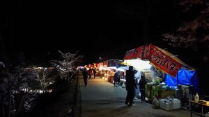 2017上田城桜祭り