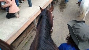 長野県の自然の中で馬に乗る
