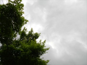 蓼科エリア別荘地の雨雲