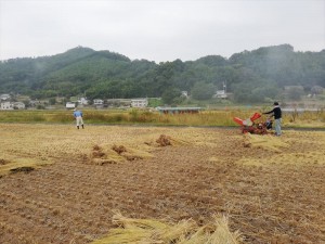 長野県の田んぼでは