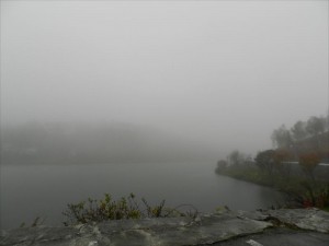 霧の白樺湖①