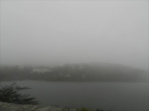 霧の白樺湖②