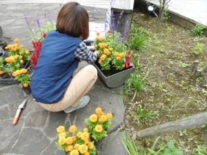 20190630リゾートメンテナンスブログ～お花を植える1～