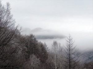 蓼科エリア別荘地の霧氷