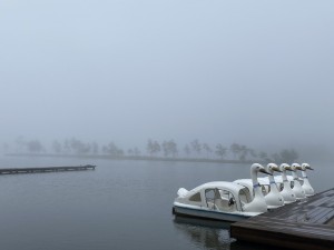 濃霧の白樺湖__雨の日の別荘地_3