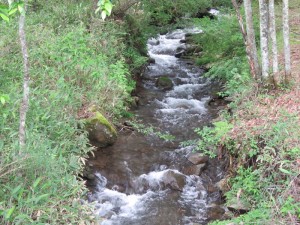 大きな増水・濁りも特になさそうです